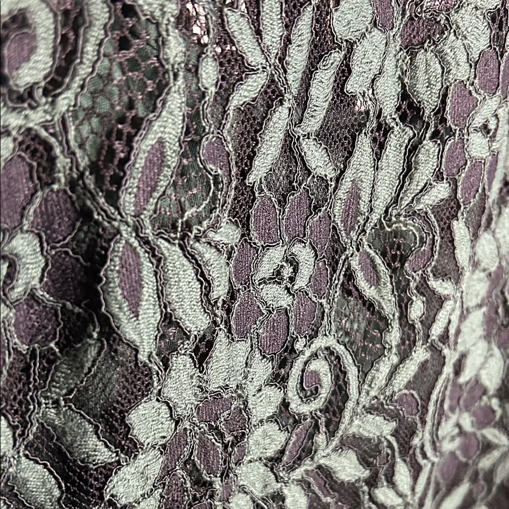 Calvin Klein Forest Green Lace Midi Dress with Slip - Picture 3 of 13